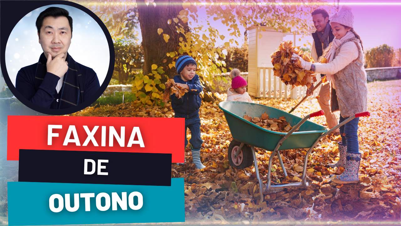 FAXINA DE OUTONO